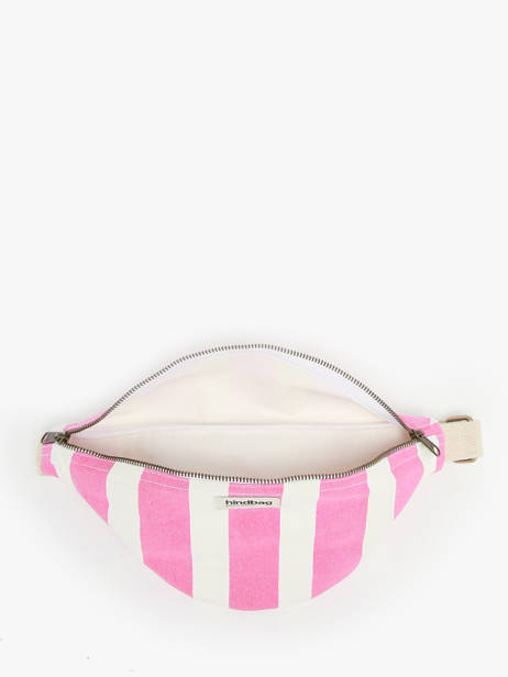 Striped Olivia Belt Bag Hindbag Pink rayures RA other view 3