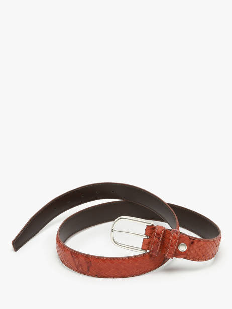 Ceinture Etrier Marron bride EBRI711C vue secondaire 2