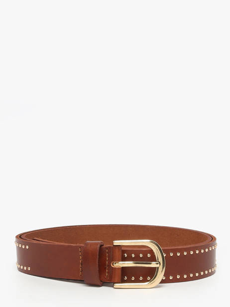 Belt Pieces Brown june 17160105