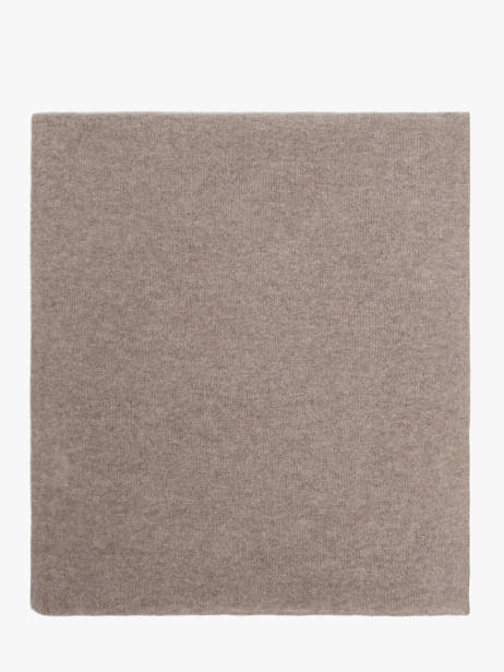 Scarf Cashmere Vercors Etrier Brown vercors EVER427U