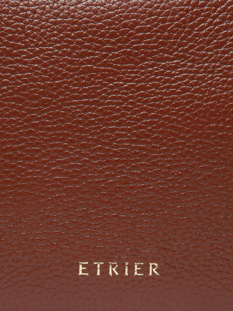 Small Leather Tradition Bucket Bag Etrier Brown tradition ETRA004S other view 5