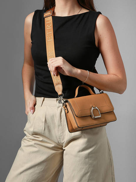 Small Leather Altesse Crossbody Bag Etrier Yellow altesse EALT048S other view 1