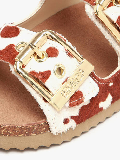 Sandales En Cuir Colors of california Marron accessoires HCBIO502 vue secondaire 2