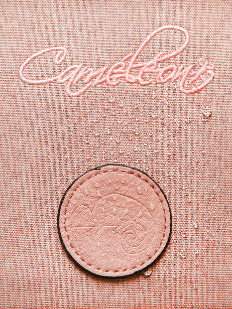 Cartable 2 Compartiments Cameleon Rose vintage color CA38 vue secondaire 6