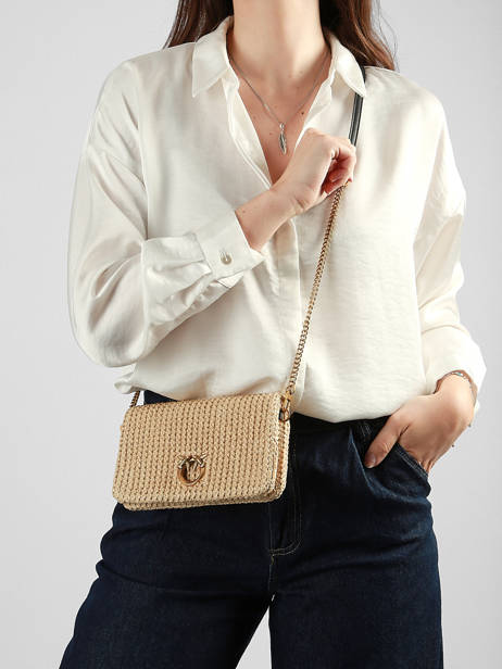 Sac Bandoulière Love Bag Soft Raphia Pinko Beige love bag soft 6023A391 vue secondaire 1