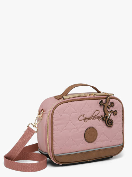 Lunch Bag Cameleon Brown vintage fantasy BL24 other view 3