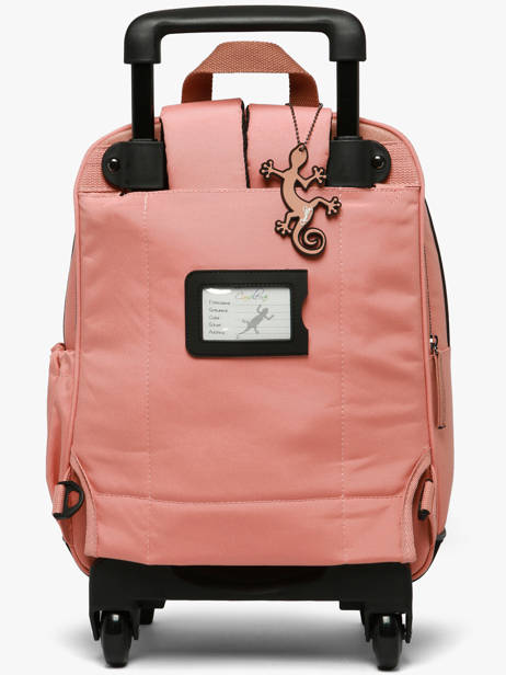 Sac A Dos à Roulettes 2 Compartiments Cameleon Rose vintage fantasy SR40 vue secondaire 6