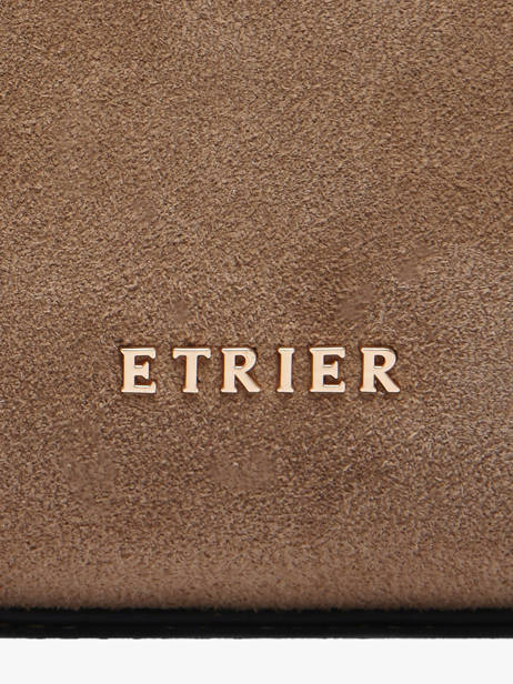 Sac Porté Main Sienne Etrier Marron sienne ESIN220S vue secondaire 2