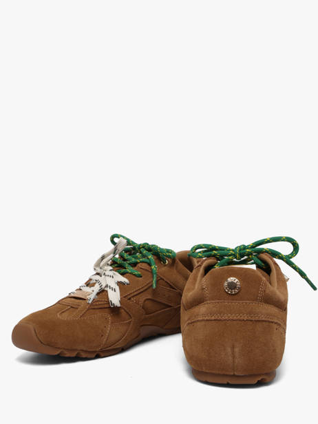 Sneakers Asiel En Cuir Steve madden Marron women 11005159 vue secondaire 2