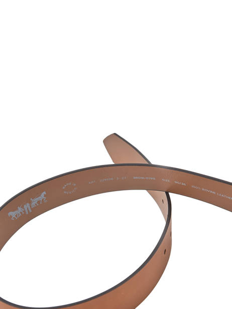 Men's Belt Seine Levi's Brown accessoires 229108 other view 2