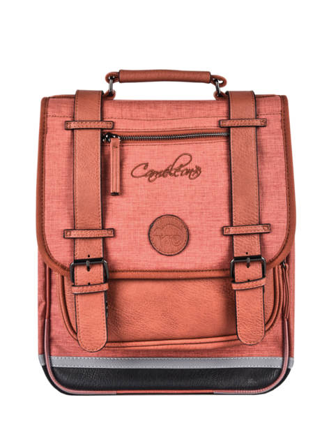 Backpack 2 Compartments Cameleon Pink vintage color VIC-SD38